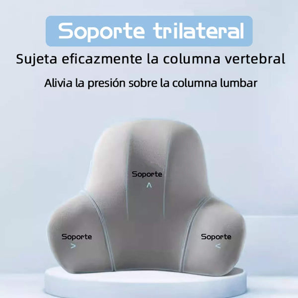 Cojín Ergonómico para Auto